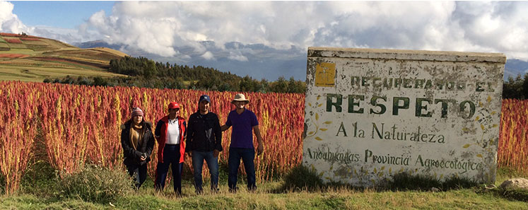 Agrofino Respect
